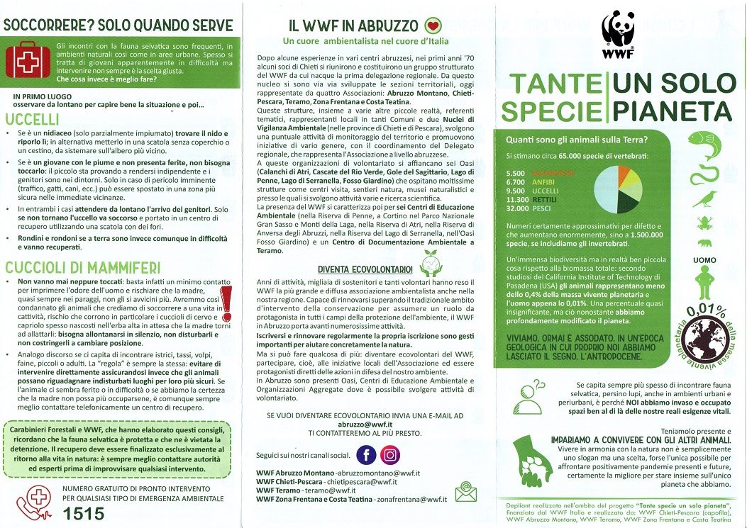 Brochure Tante specie un solo pianeta